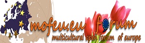 mofeu300x90