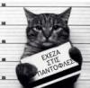 Antonis78 Avatar