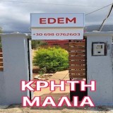 Sex Studio Studio Edem