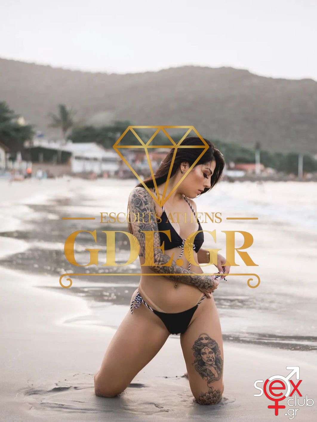 Escort-Charlotte-6949