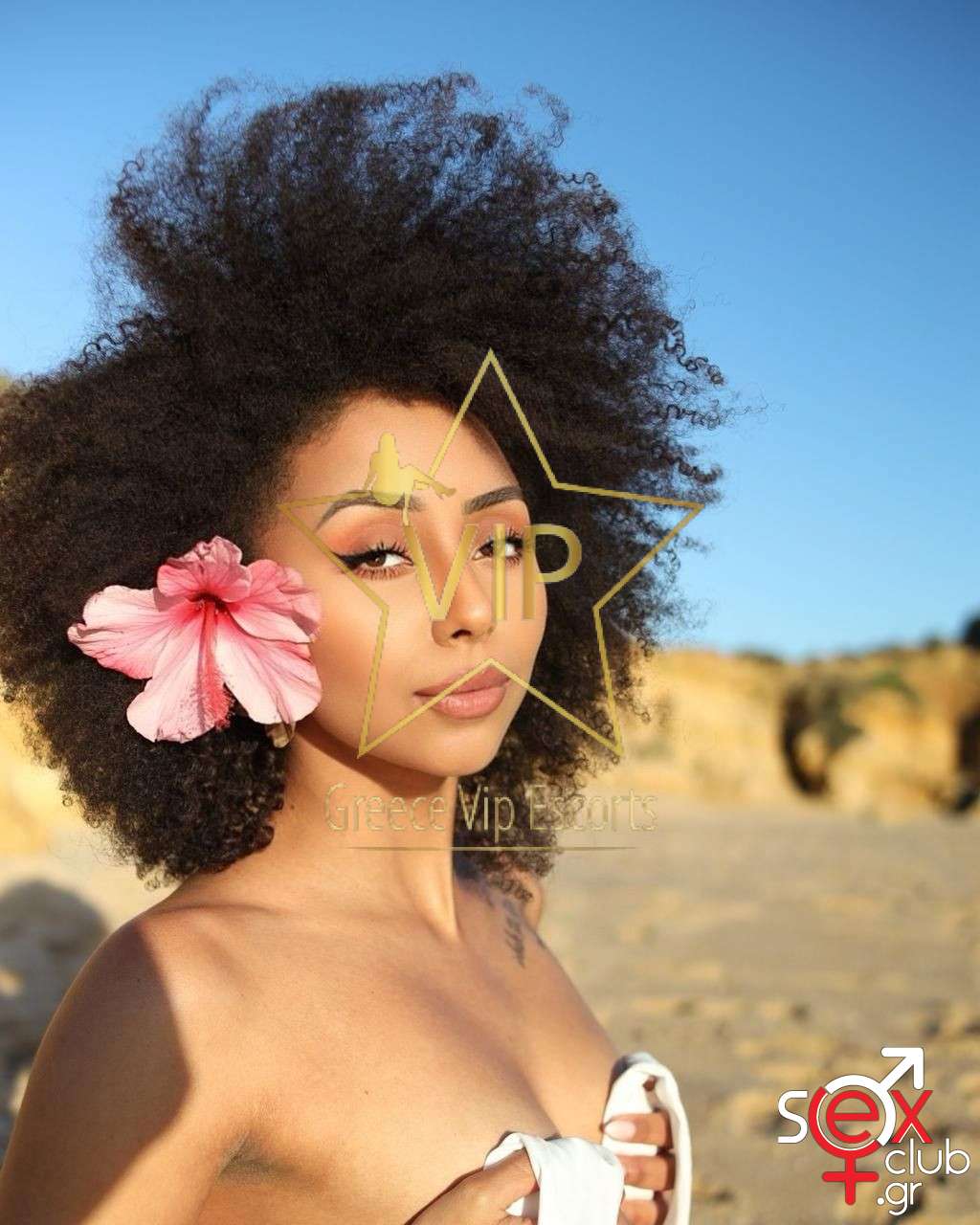Escort-Joy-8519